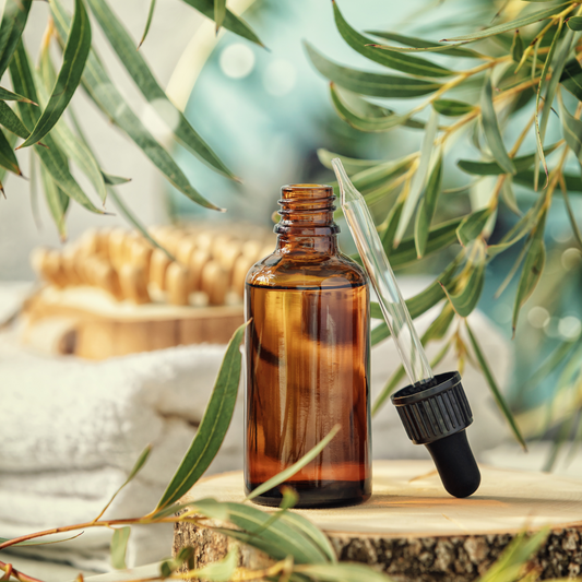 aboriginal plants australian essential oils